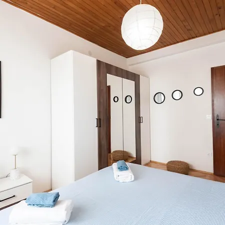 فيلة Adriatica *